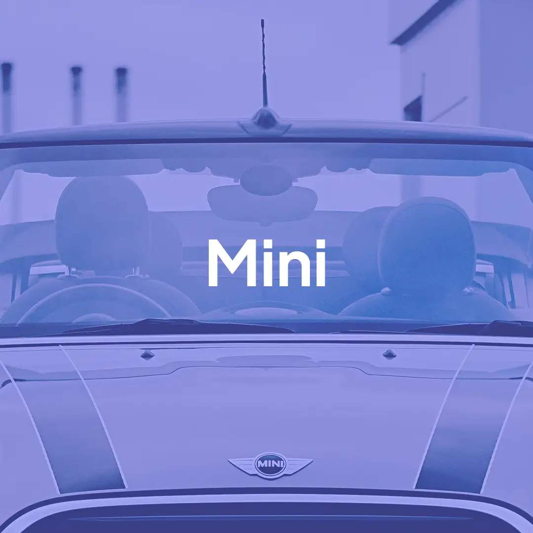 Logo Mini